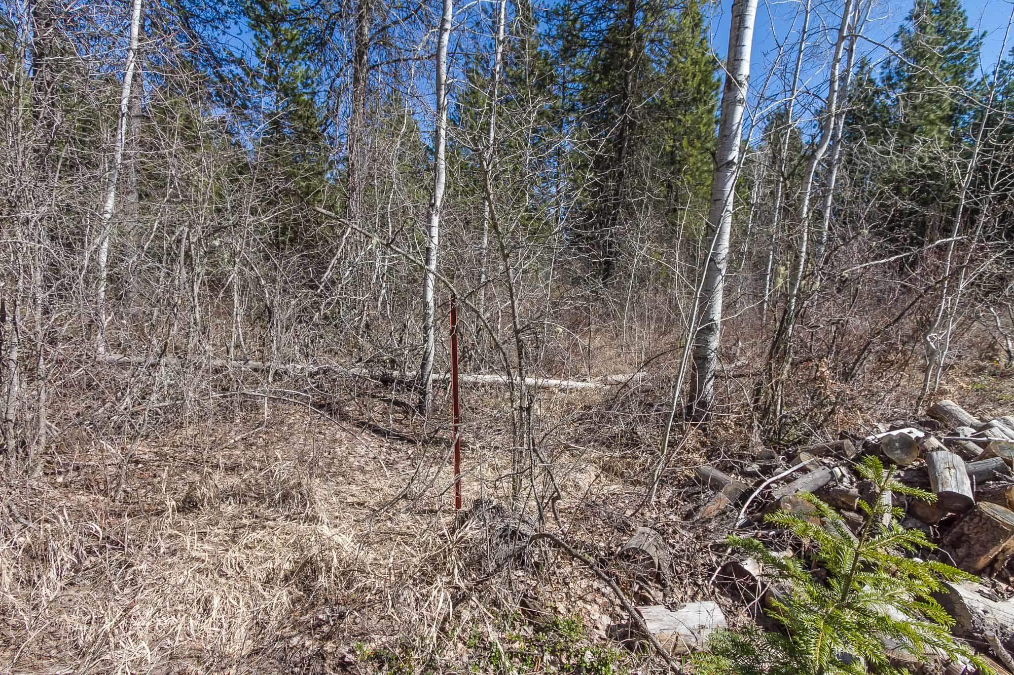 425291 State Rte 20 Newport, WA 99156 - Photo 31 of 50