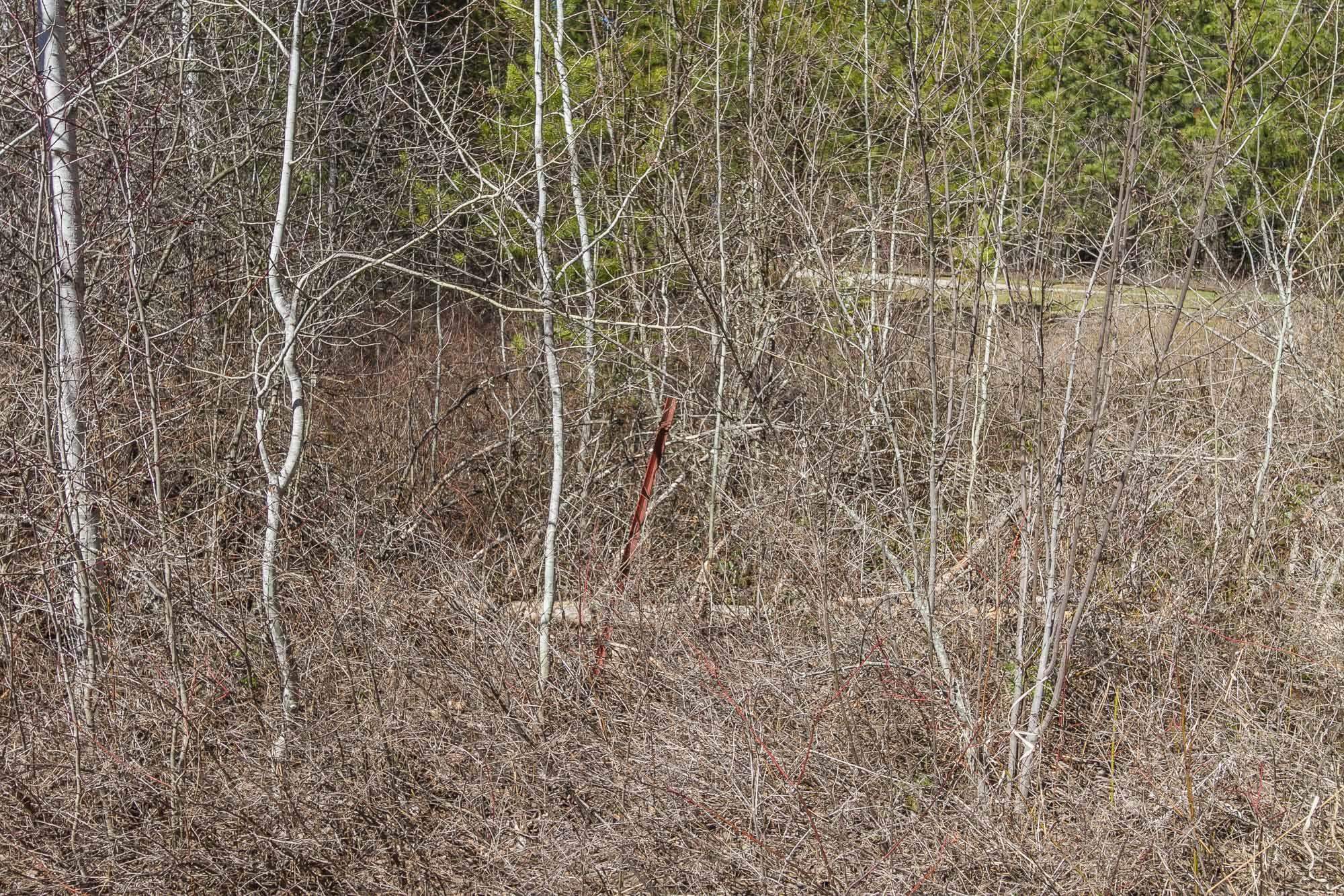 425291 State Rte 20 Newport, WA 99156 - Photo 32 of 50