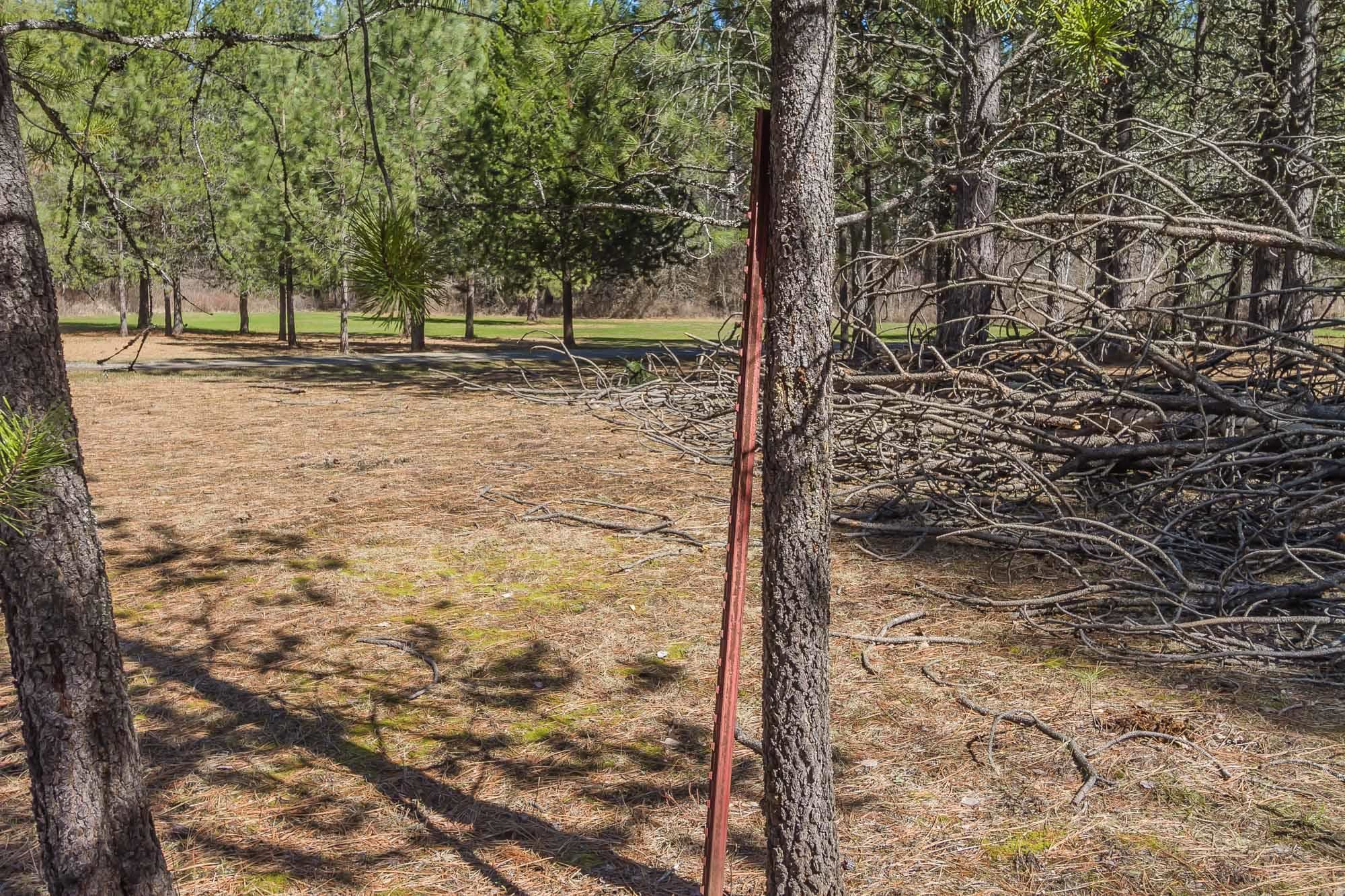 425291 State Rte 20 Newport, WA 99156 - Photo 33 of 50