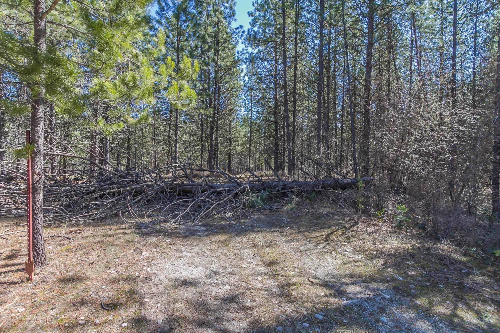 425291 State Rte 20 Newport, WA 99156 - Photo 34 of 50