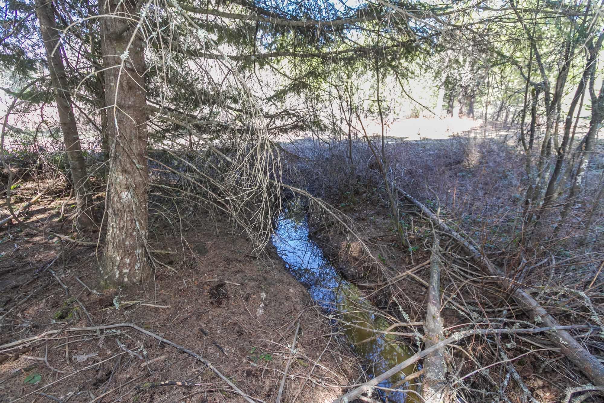 425291 State Rte 20 Newport, WA 99156 - Photo 35 of 50