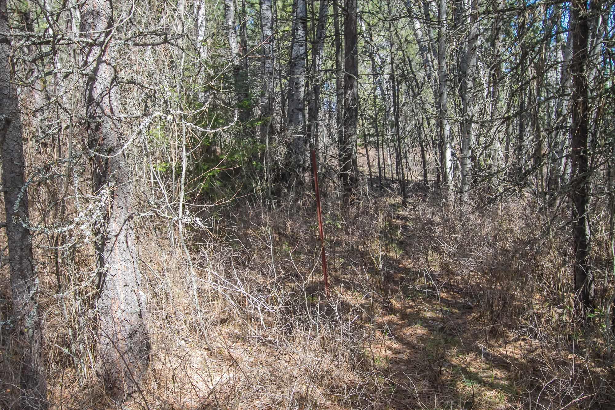 425291 State Rte 20 Newport, WA 99156 - Photo 37 of 50