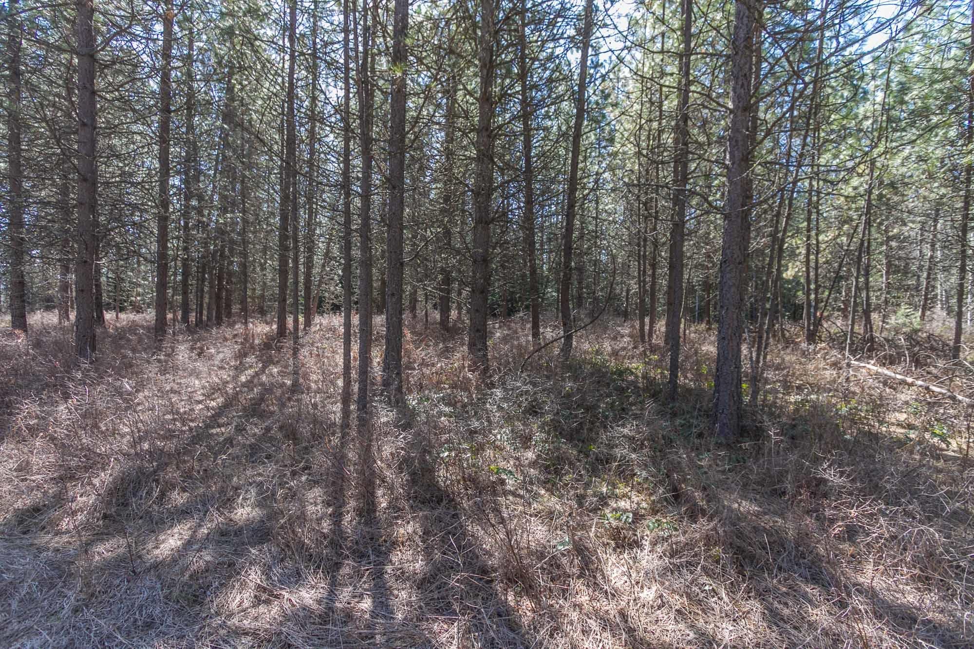 425291 State Rte 20 Newport, WA 99156 - Photo 40 of 50