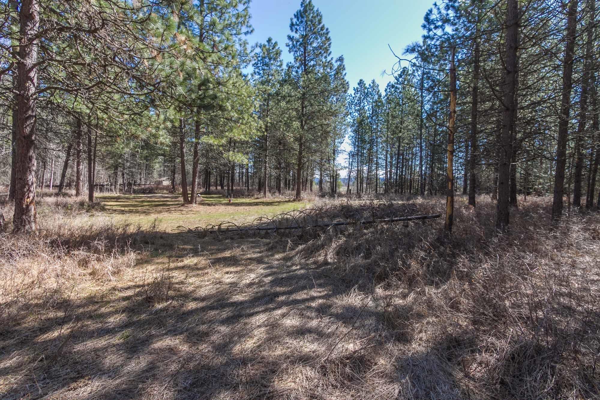 425291 State Rte 20 Newport, WA 99156 - Photo 41 of 50