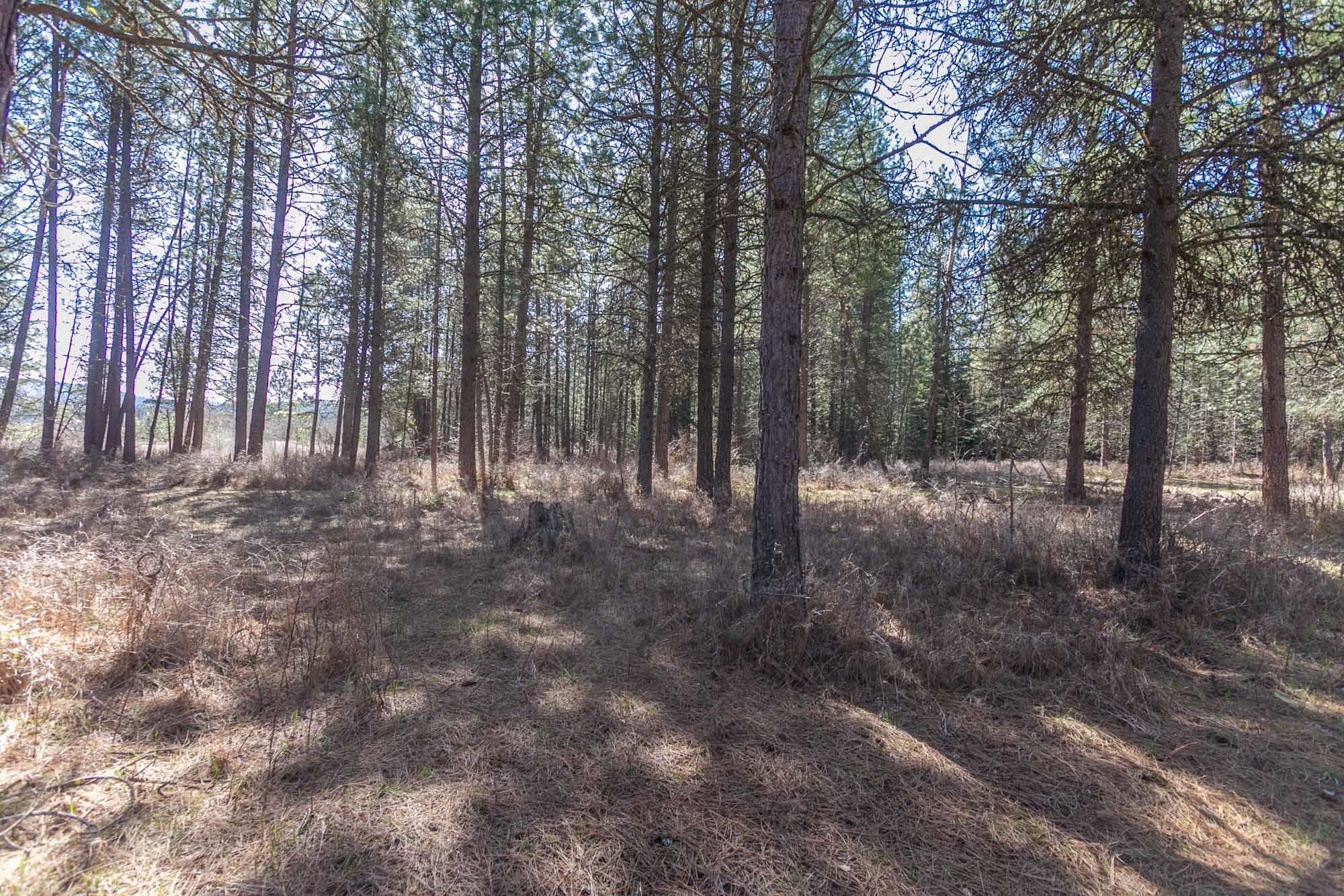 425291 State Rte 20 Newport, WA 99156 - Photo 45 of 50