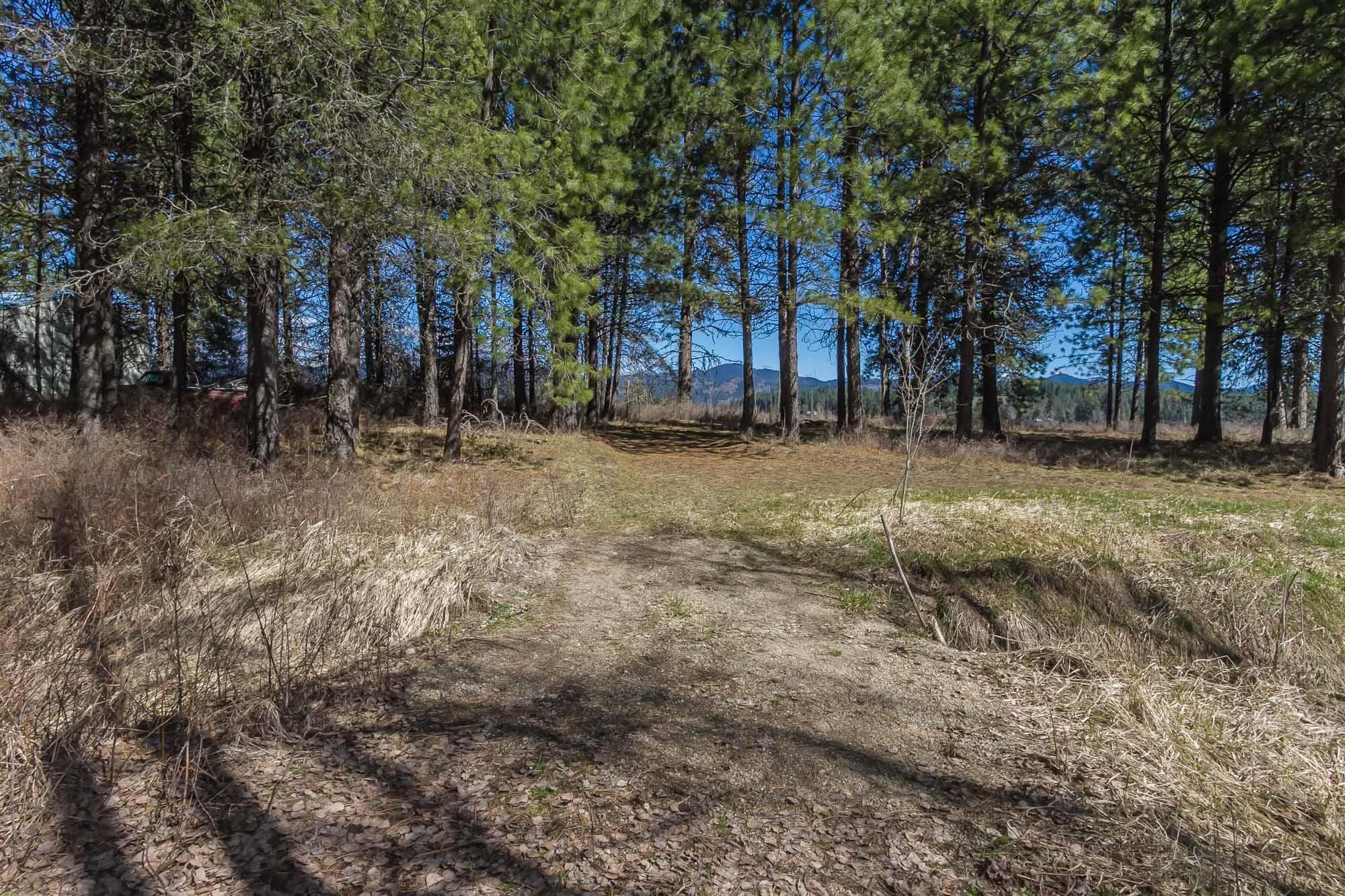 425291 State Rte 20 Newport, WA 99156 - Photo 47 of 50