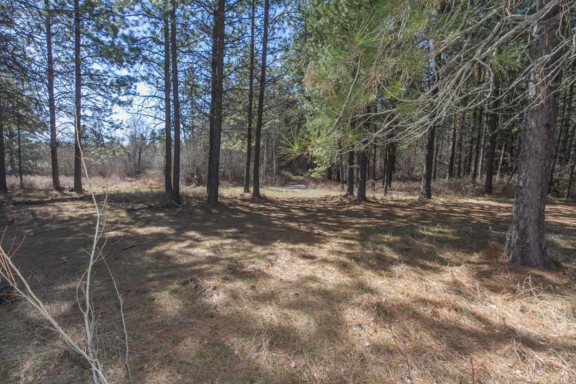 425291 State Rte 20 Newport, WA 99156 - Photo 49 of 50