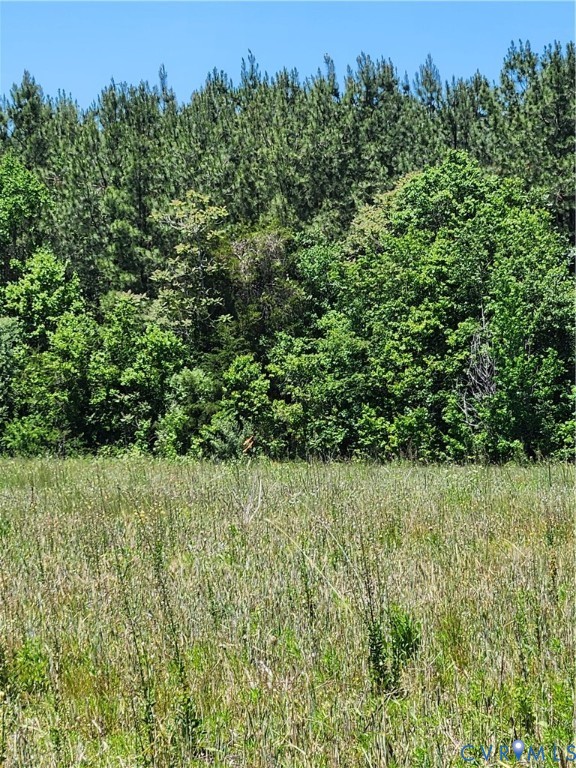 Lot 3 Deep Creek Road Kents Store, VA 23084 - Photo 6 of 10 Survey corner in the field for reference