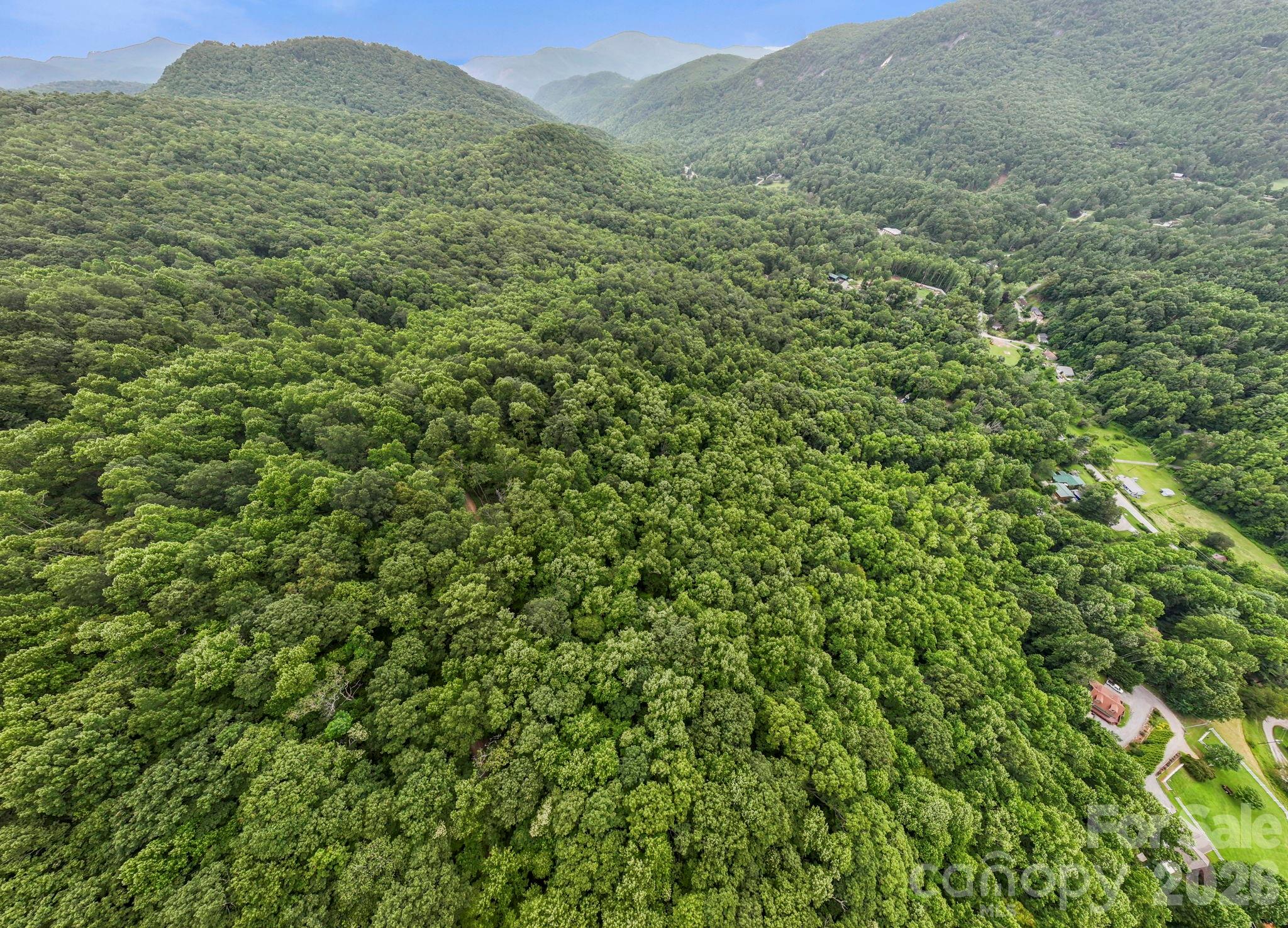 99999 Little Pisgah Road Fairview, NC 28730 - Photo 3 of 13