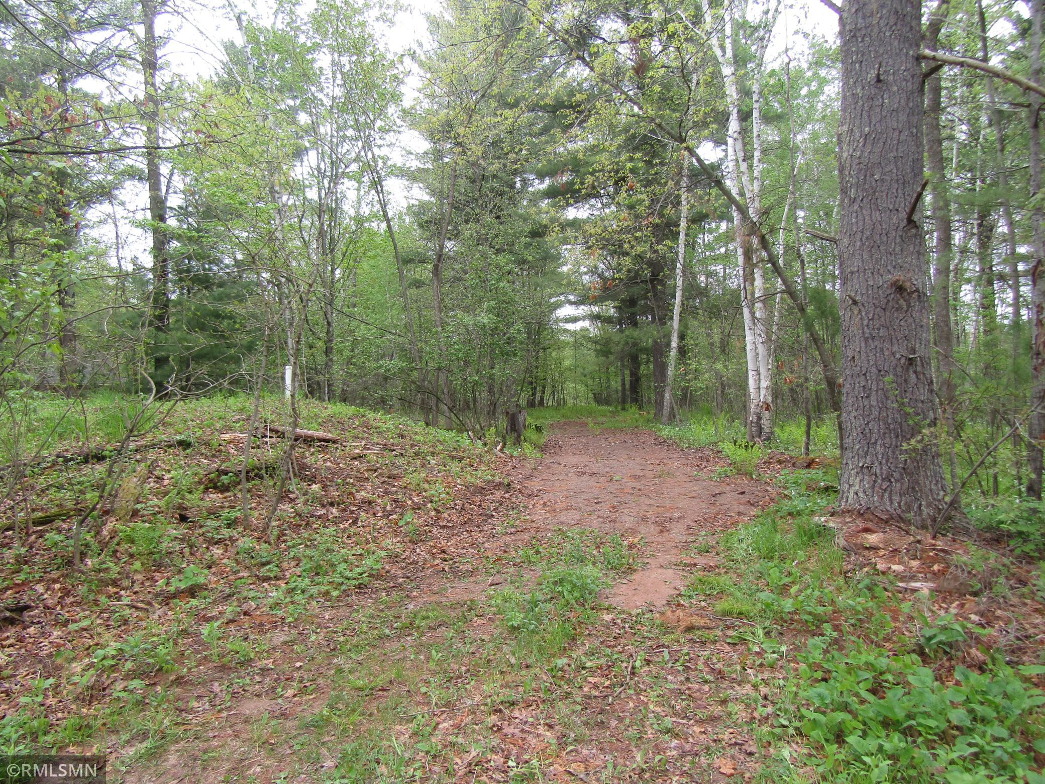 15442 Lofty Pines Road Pine City, MN 55063 - Photo 5 of 9
