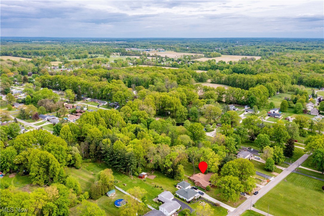 11811 Robson Road Grafton, OH 44044 - Photo 46 of 50 Bird's eye view of a forest