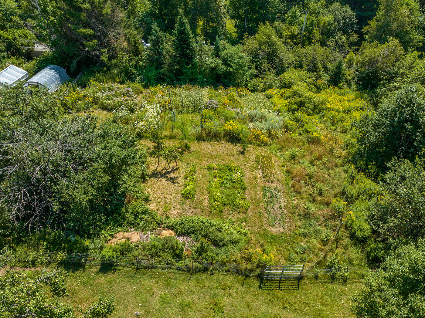 712 Halldale Road Montville, ME 04941 - Photo 65 of 75 DJI_0224