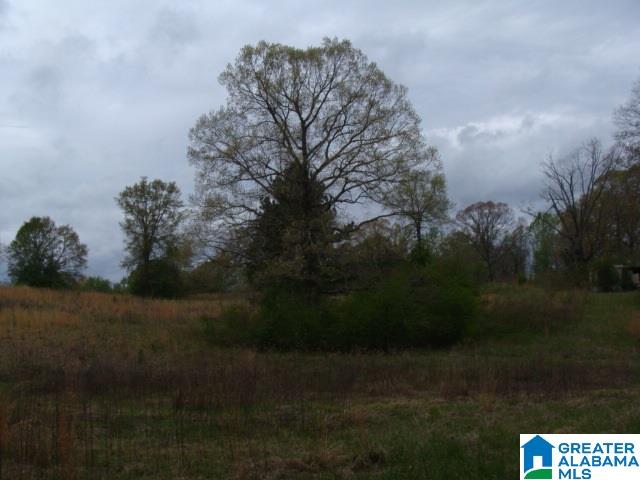406 Caffe Ridge, Unit PARCEL Woodstock, AL 35188 - Photo 10 of 30