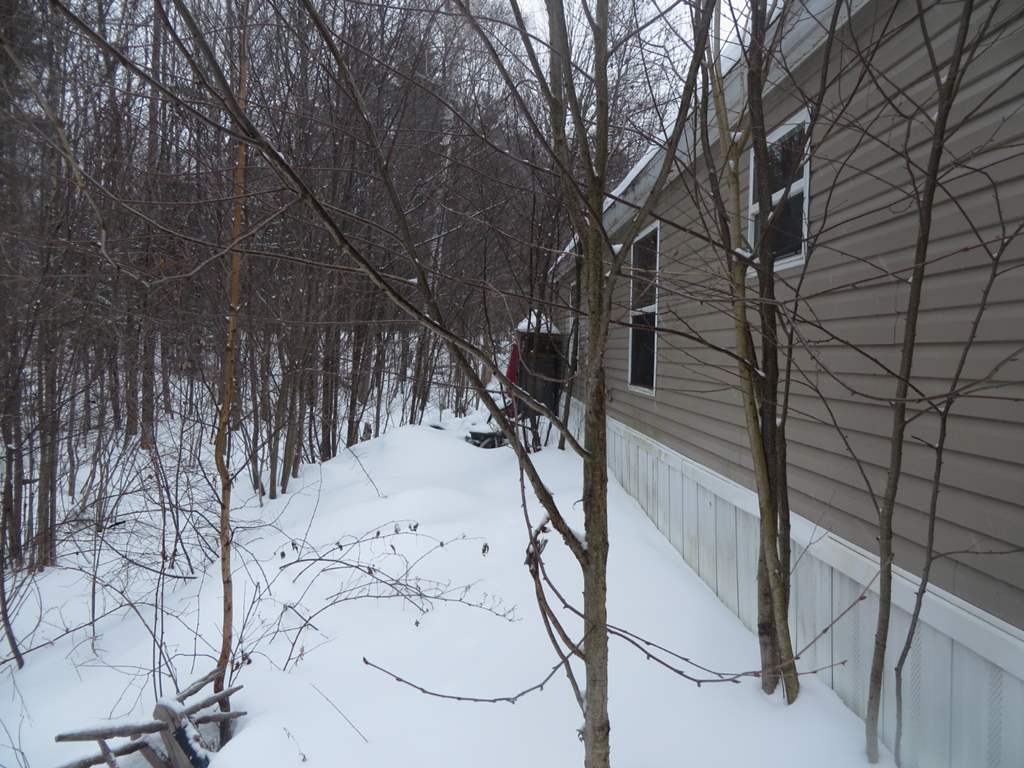 371 Cross Road Rumney, NH 03266 - Photo 5 of 9 Gallery Image 5