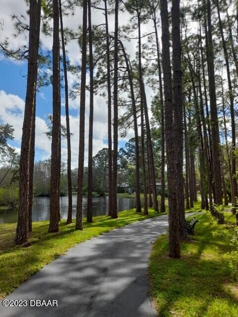 30 Summer Trees Road Port Orange, FL 32128 - Photo 24 of 26 Cypress Pond 3