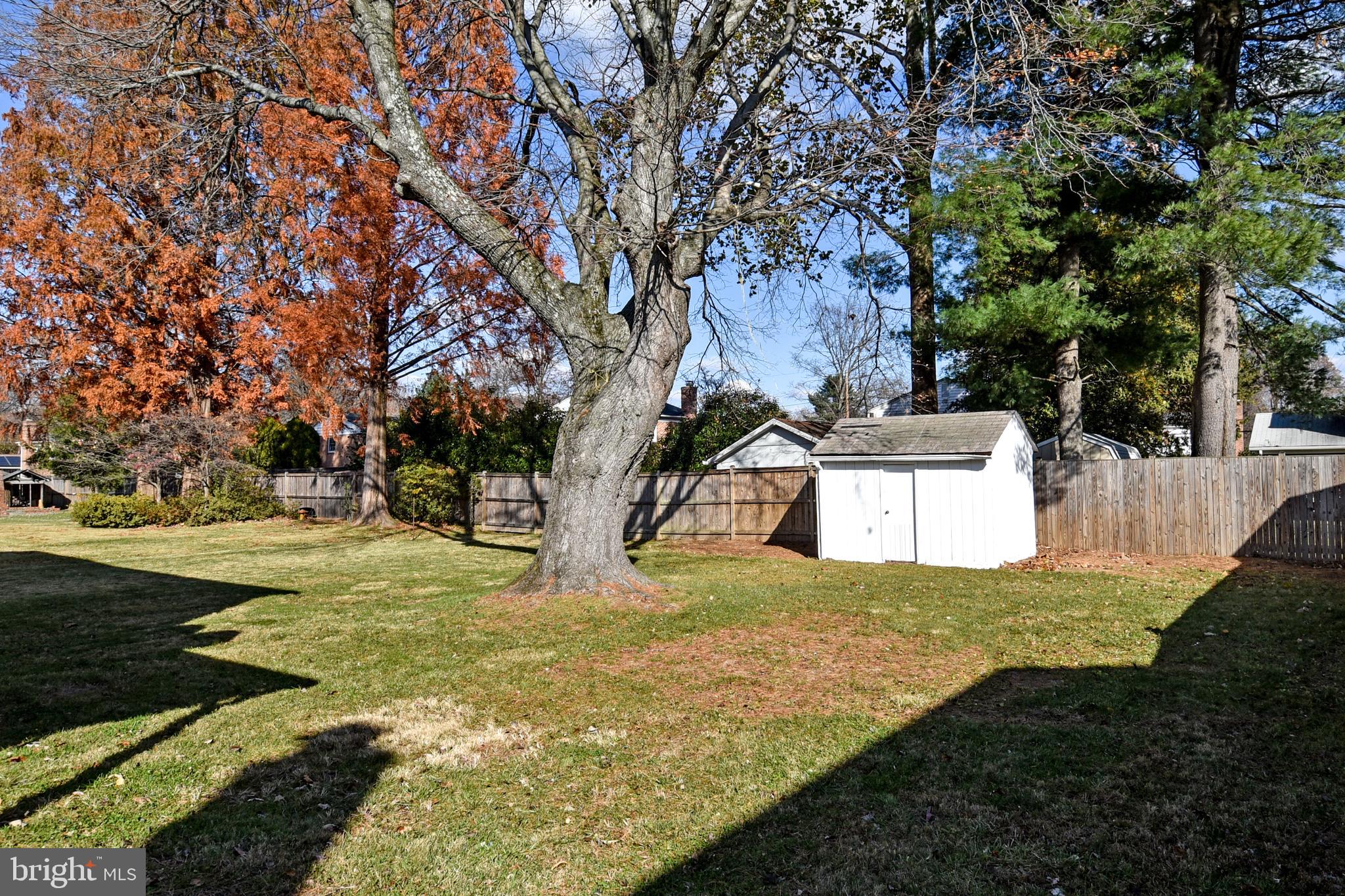 13125 Foxhall Drive Silver Spring, MD 20906 - Photo 48 of 51 Backyard