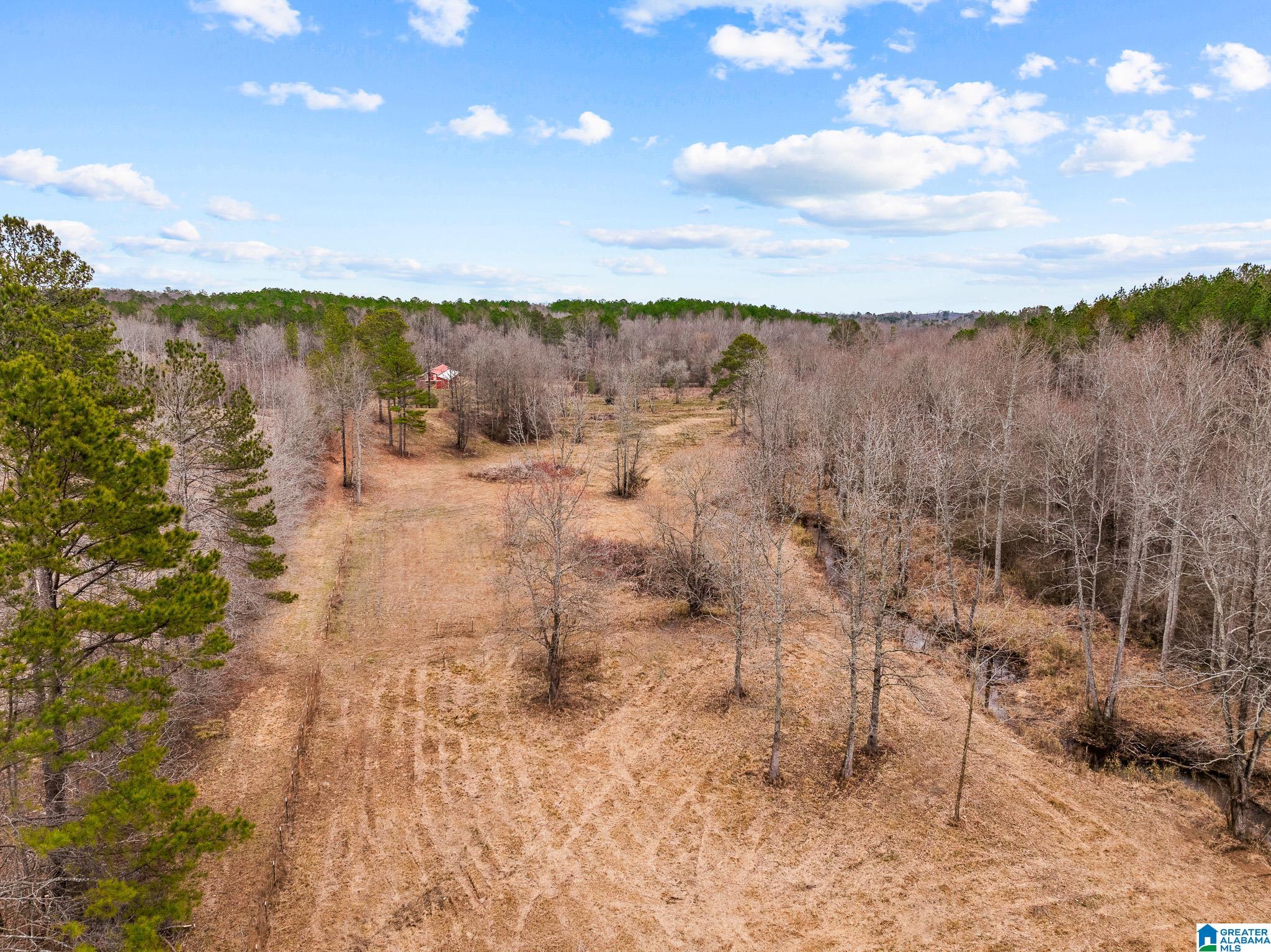 2885 McKay Road Delta, AL 36258 - Photo 51 of 56
