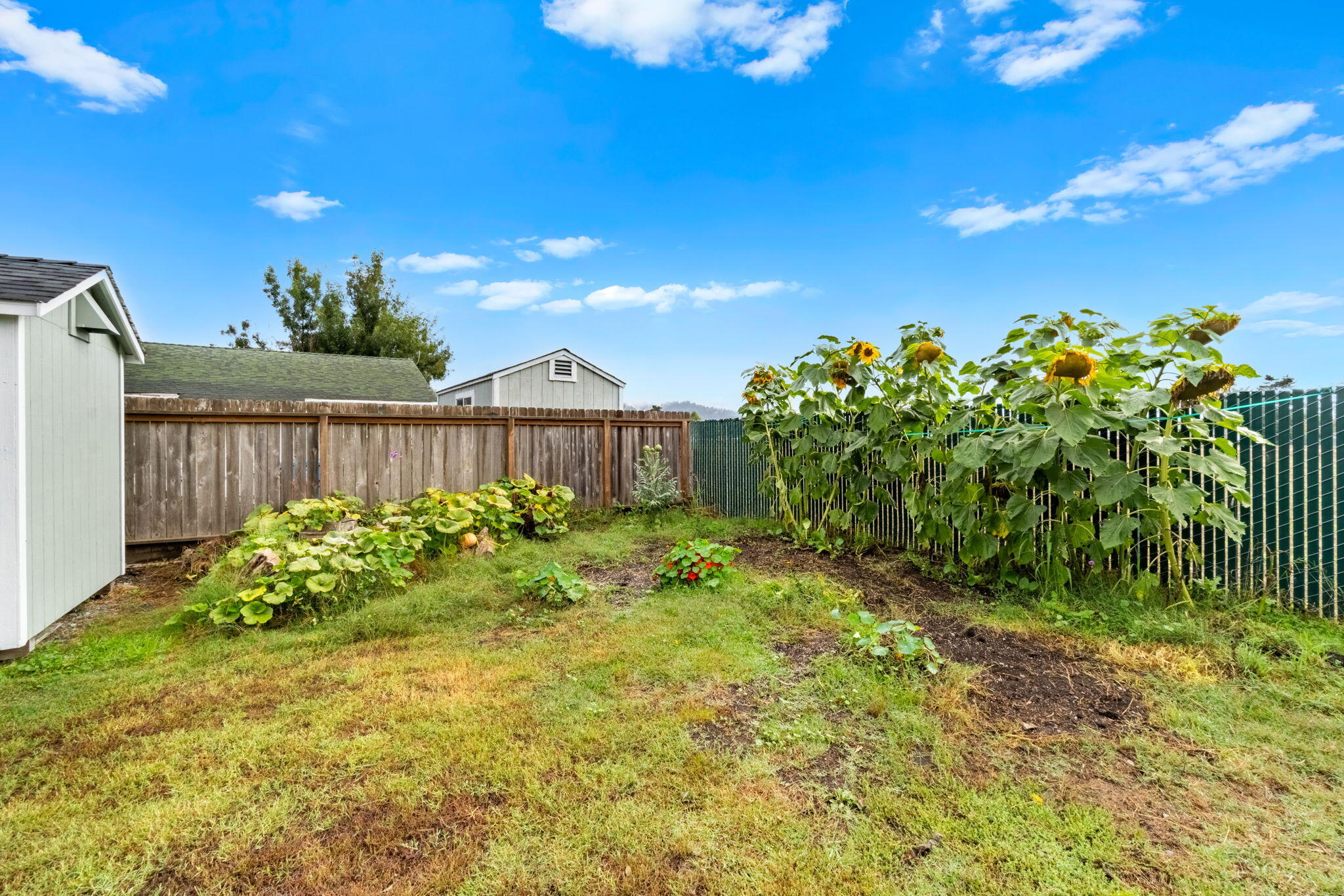 3419 A Street Hydesville, CA 95547 - Photo 8 of 71