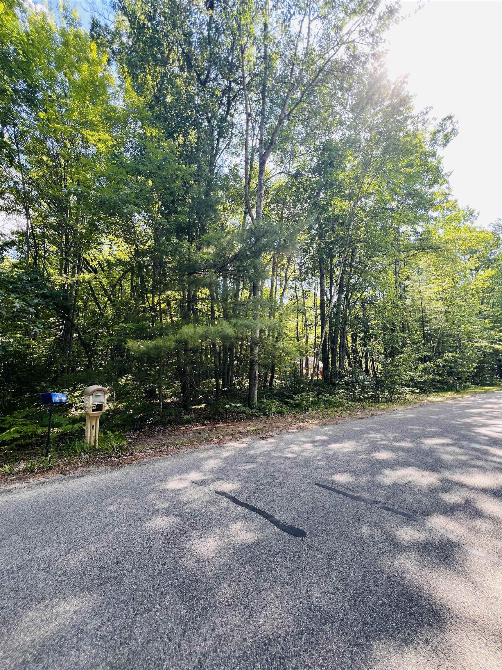 Lot 789 Redwine Roscommon, MI 48653 - Photo 2 of 7 1947301-e2aa0528-0d8d-4057-8e2d-eeaab5e60879.JPG