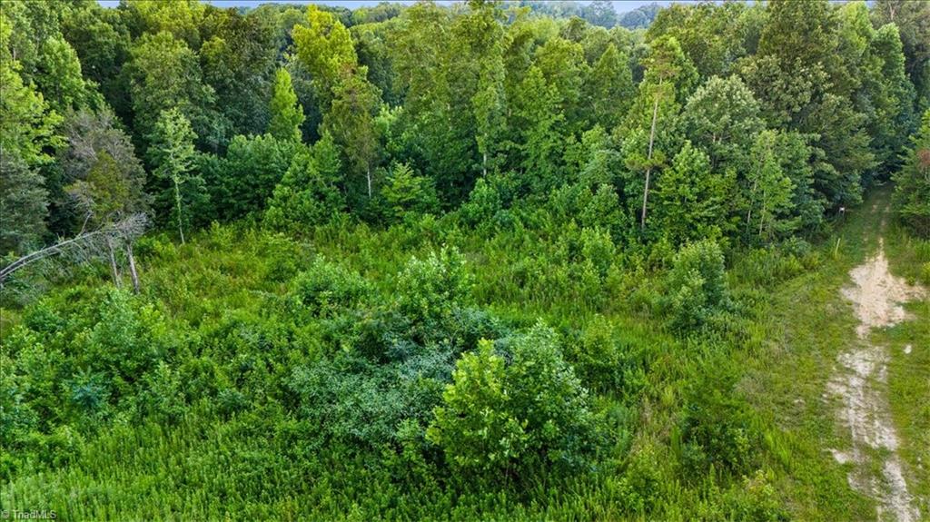 0 Weavil Road Winston-Salem, NC 27107 - Photo 8 of 26