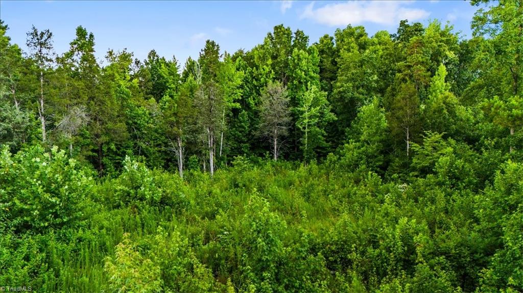 0 Weavil Road Winston-Salem, NC 27107 - Photo 9 of 26
