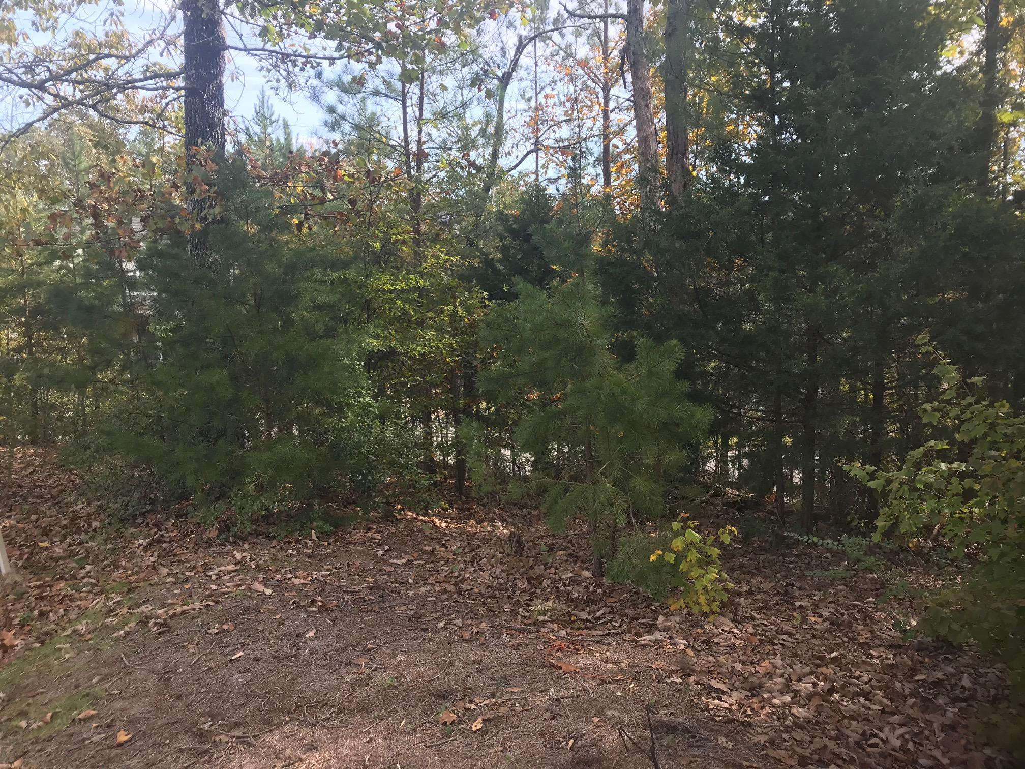 0 Blue Jay Parkway, Unit 413 Ringgold, GA 30736 - Photo 3 of 4 IMG_4242