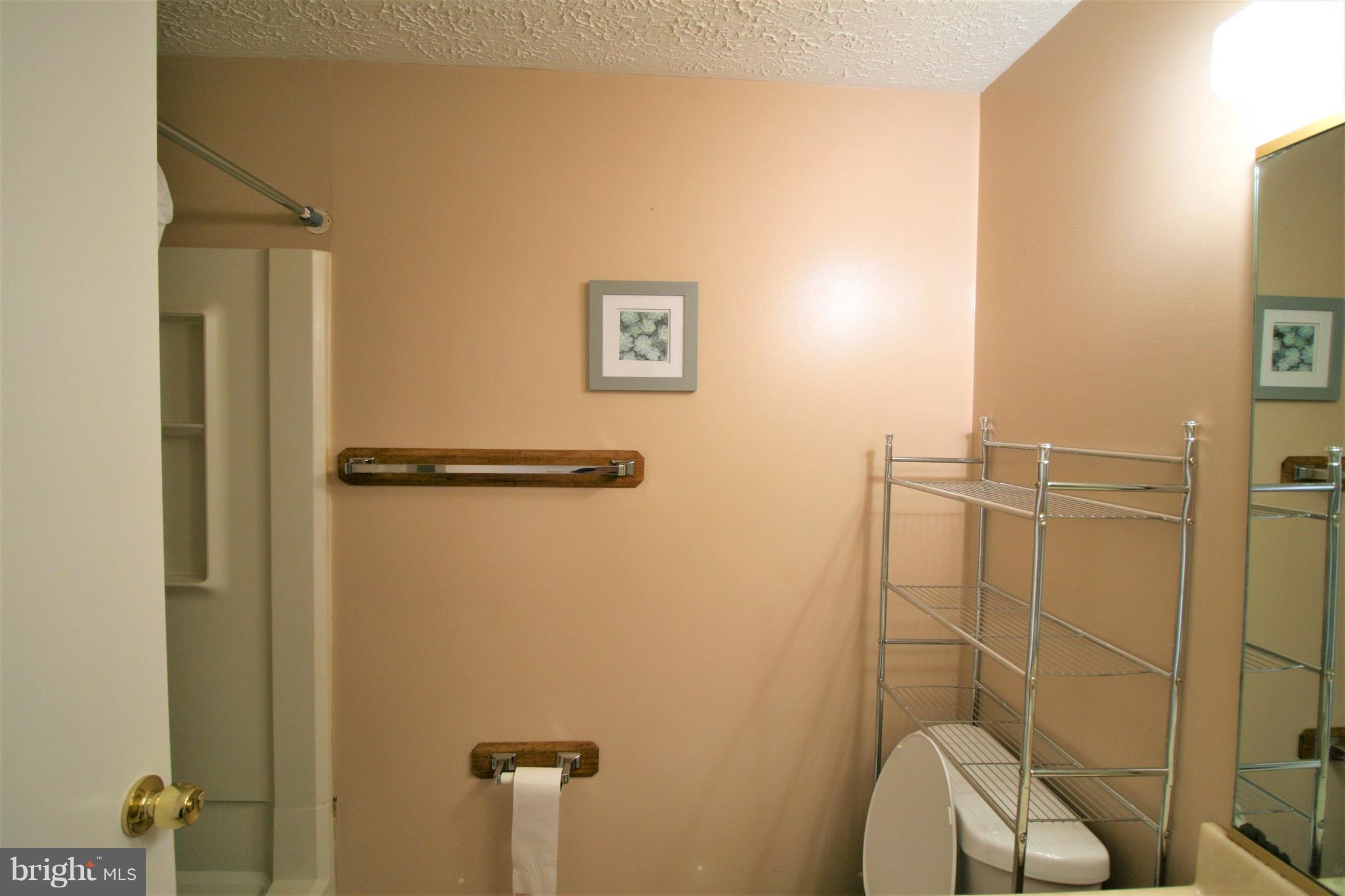 19517 Gunners Branch Road, Unit 424 Germantown, MD 20876 - Photo 14 of 15 Bath (Master)