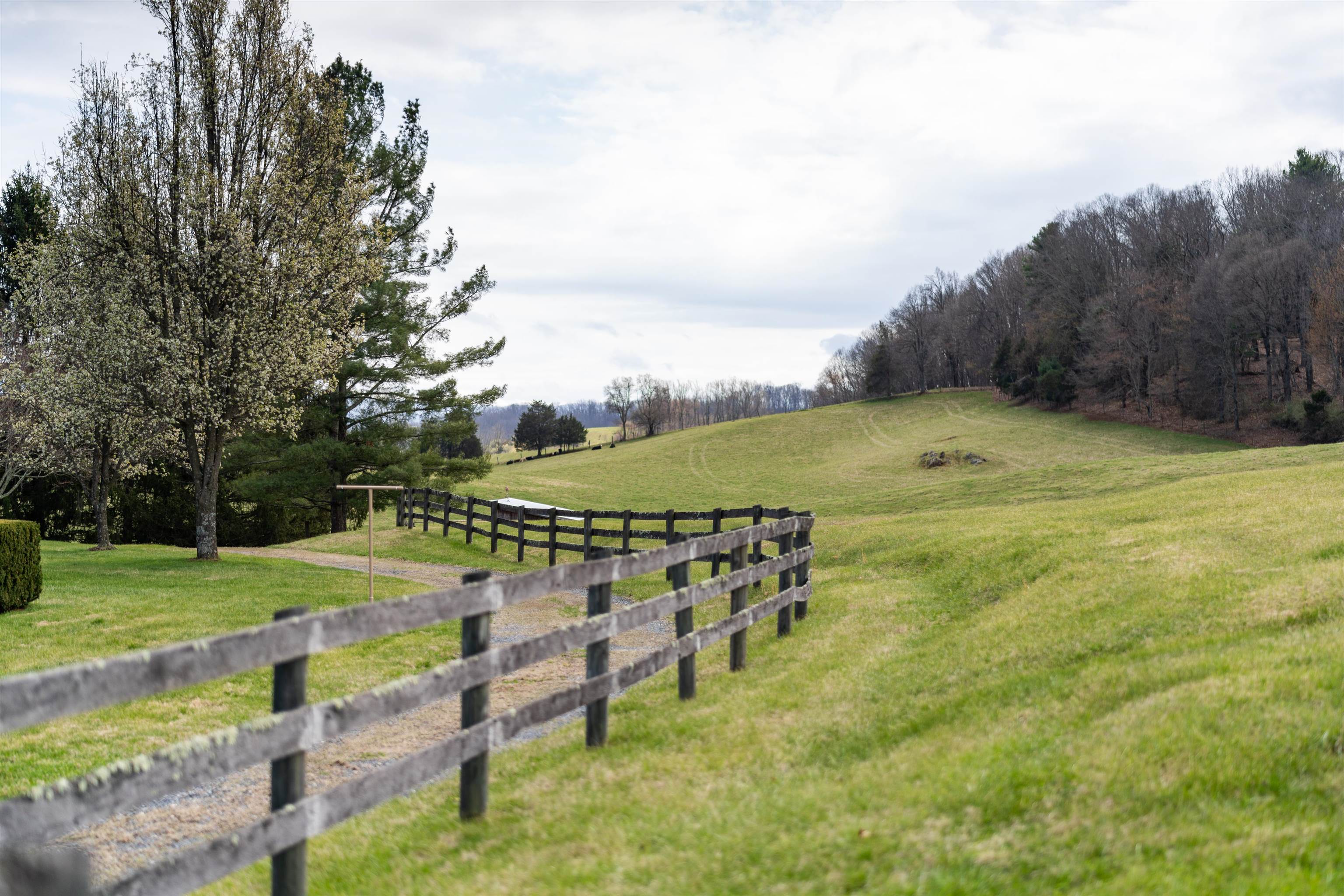 584 Newport Road Steeles Tavern, VA 24476 - Photo 52 of 75