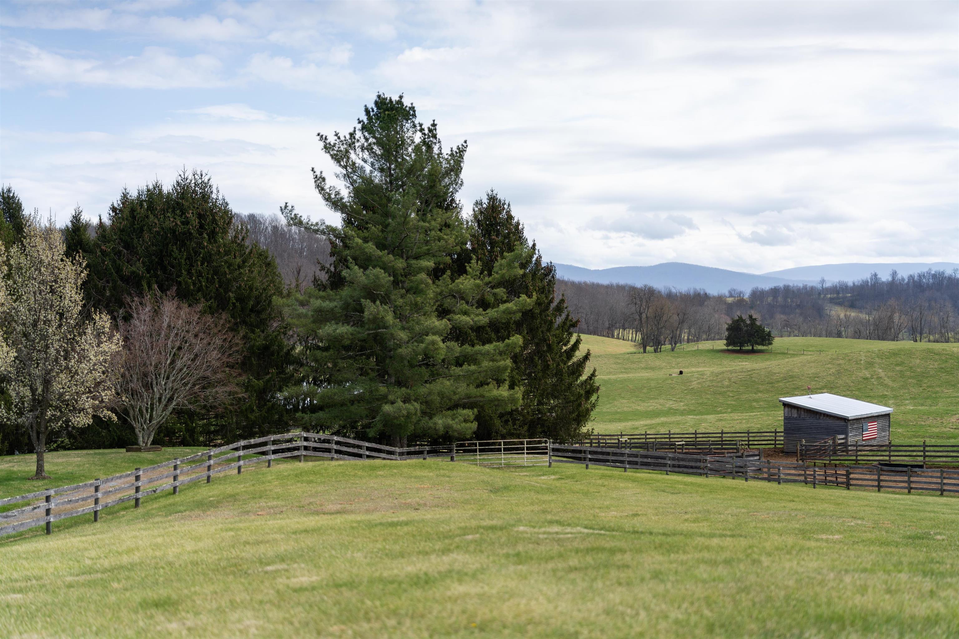 584 Newport Road Steeles Tavern, VA 24476 - Photo 53 of 75