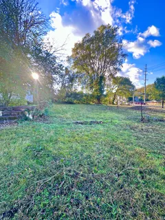 a view of garden with trees