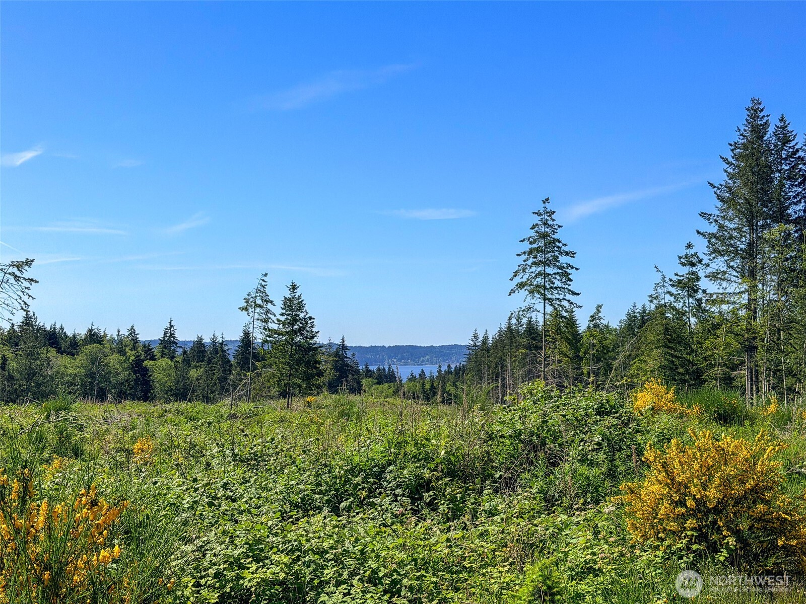 1-xxx Andy Cooper Road Port Ludlow, WA 98365 - Photo 6 of 29