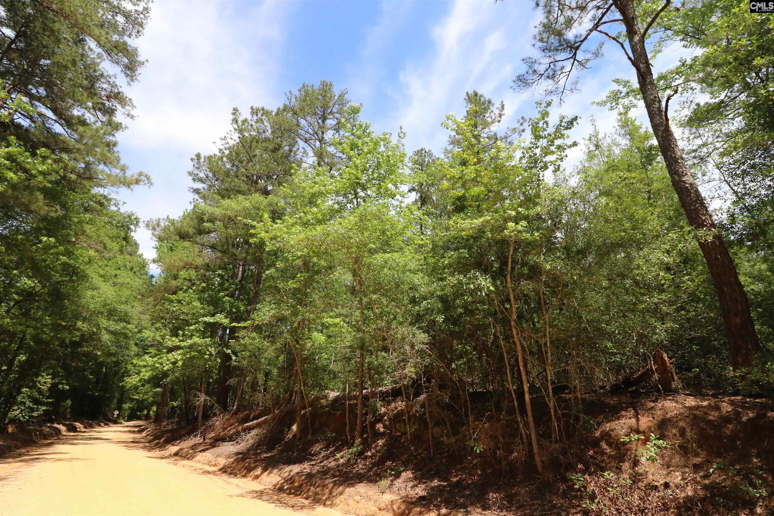 1091 Pine Grove Road Leesville, SC 29070 - Photo 18 of 19