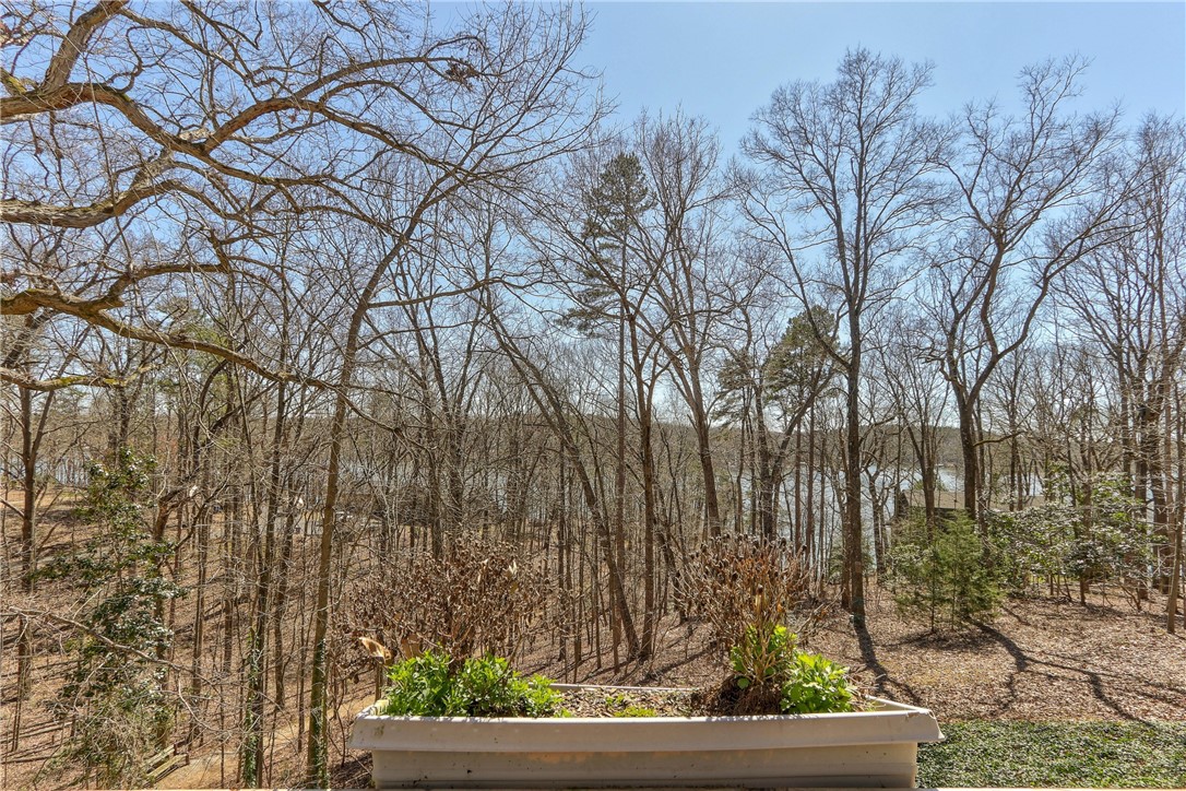726 Seminole Point Road Fair Play, SC 29643 - Photo 21 of 30 Gallery Image 21