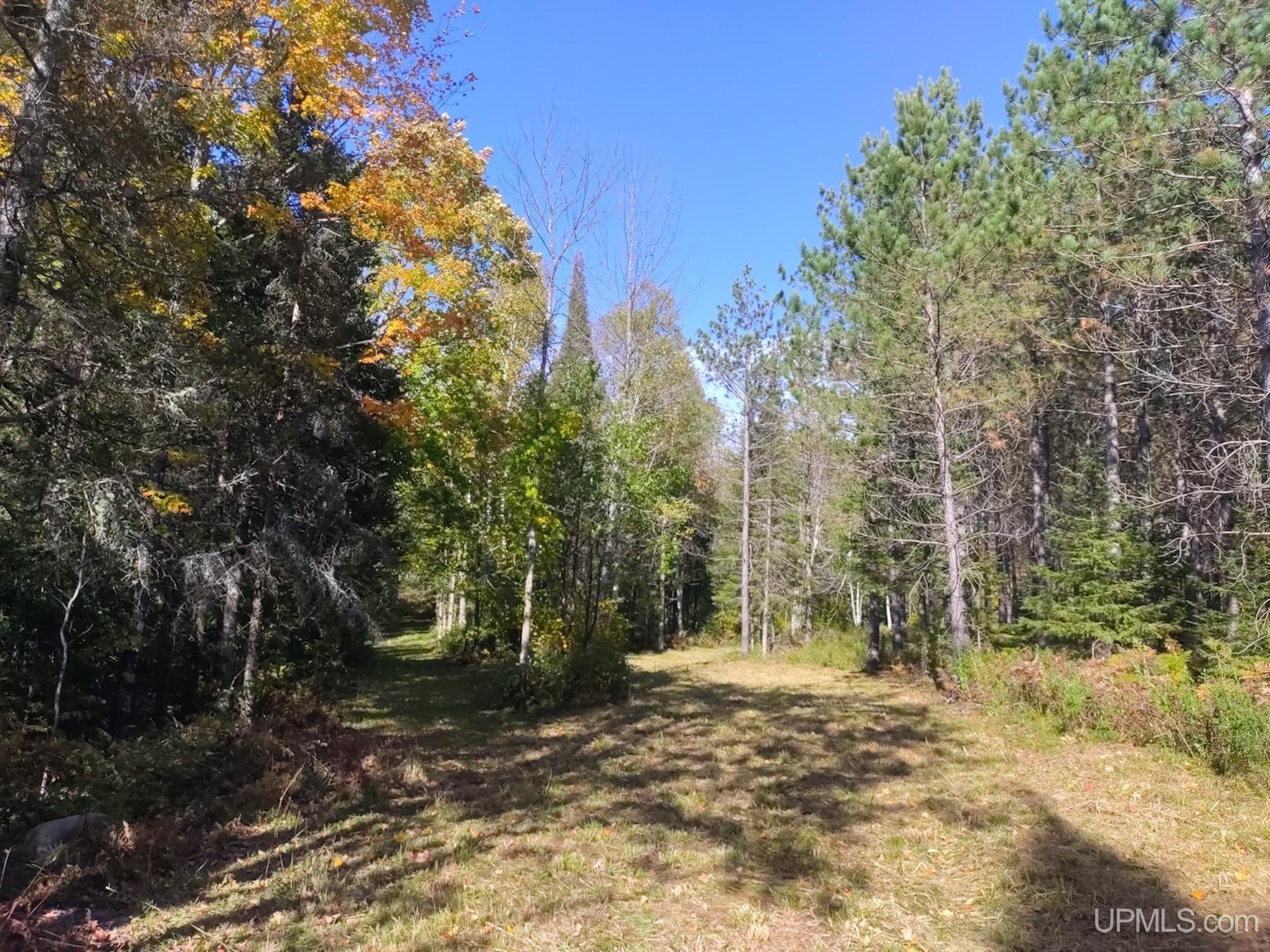 4745 Boot Lake Road Phelps, WI 54554 - Photo 14 of 78 Gallery Image 14