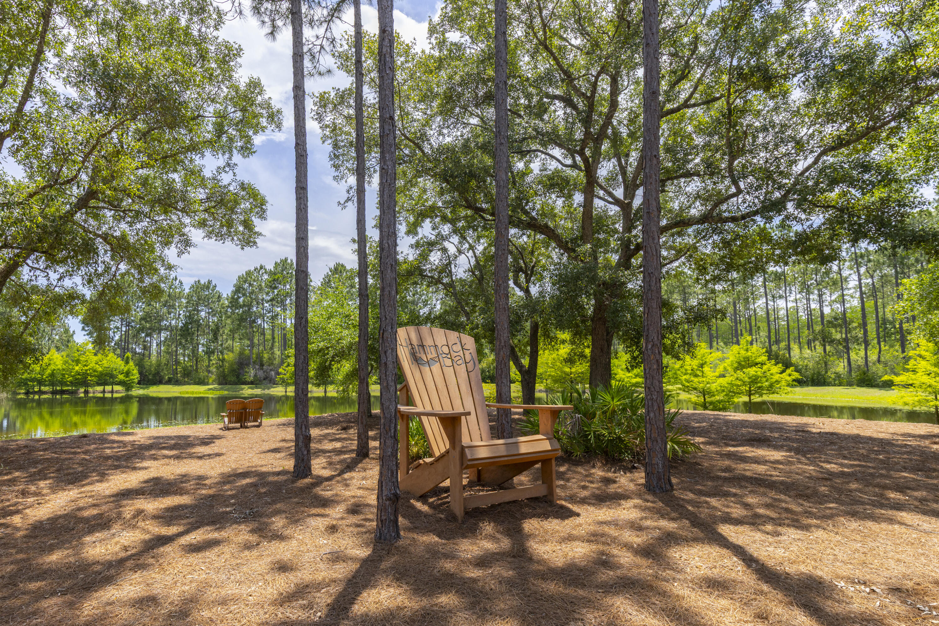 236 Revana Way Freeport, FL 32439 - Photo 72 of 96 Scenic Beauty of Hammock Bay