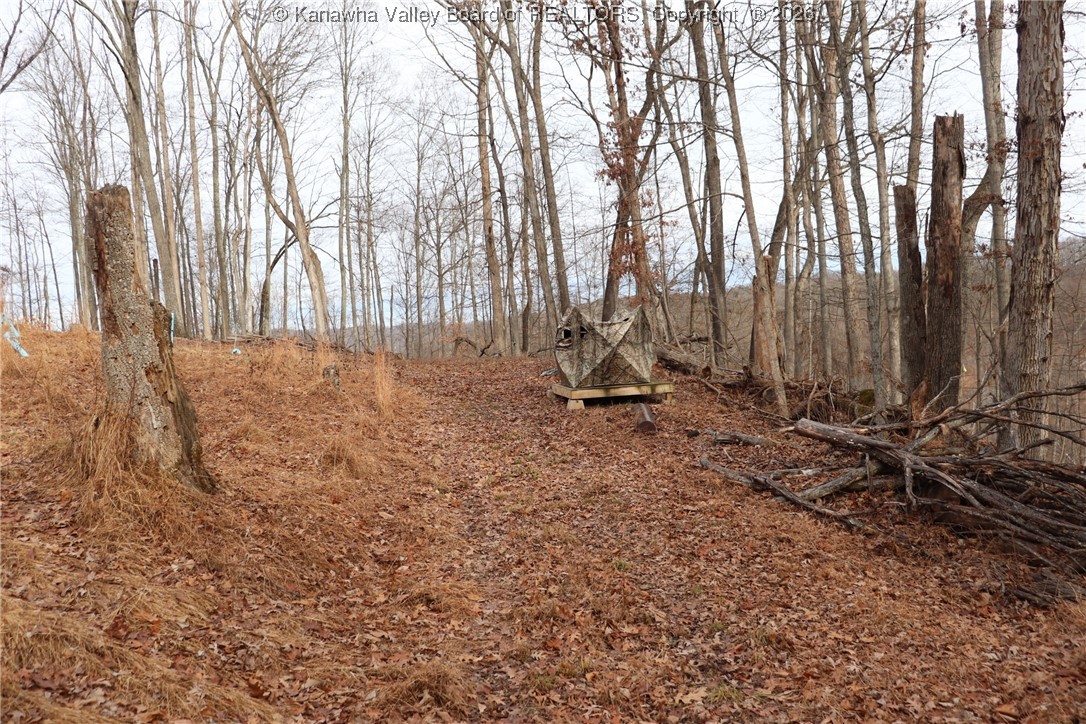 0 Route 12 Road Alum Creek, WV 25003 - Photo 17 of 44 Gallery Image 17