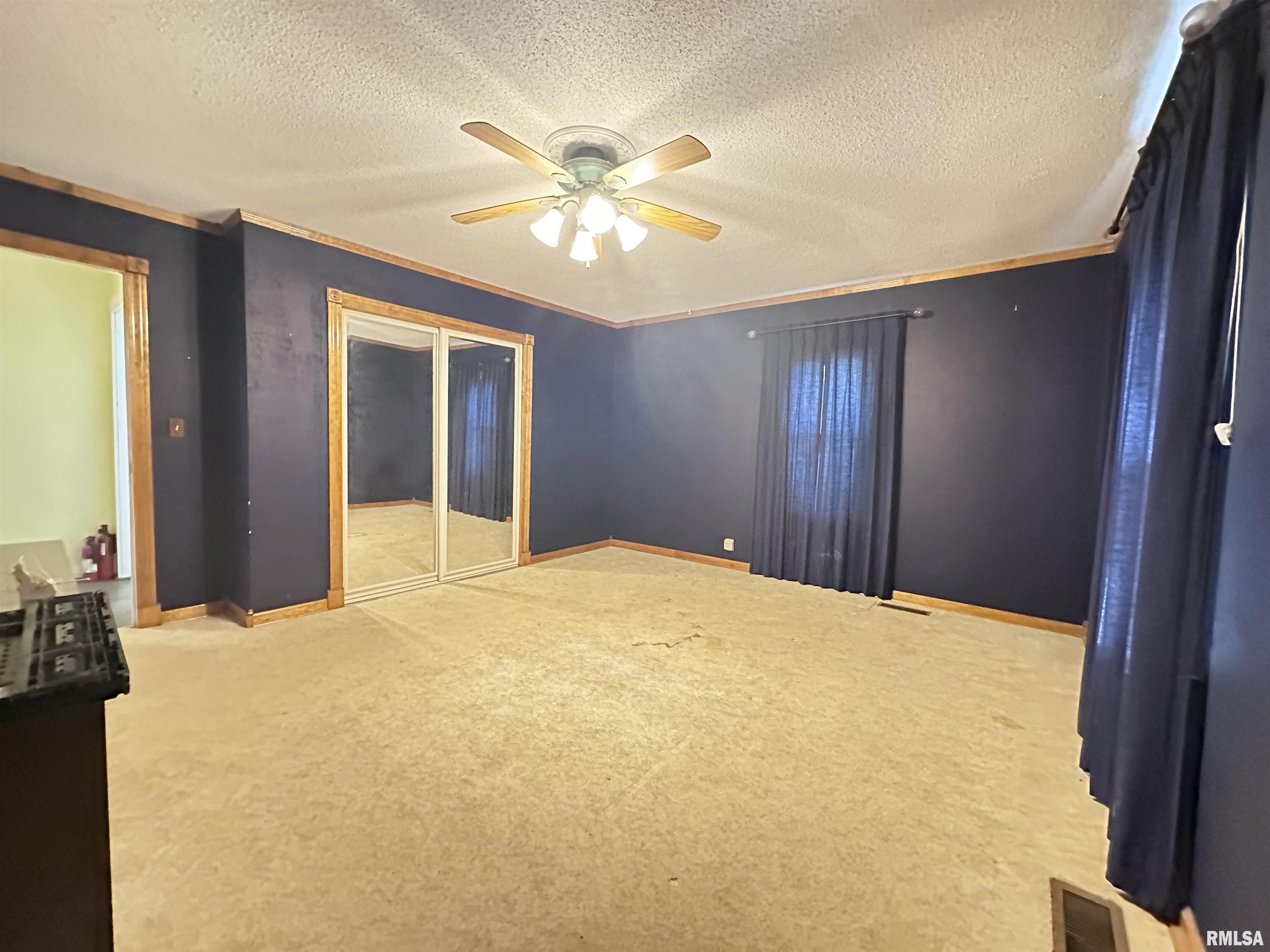 1500 Cobden School Road Cobden, IL 62920 - Photo 17 of 42