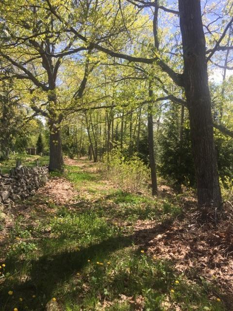 733 River Road Orrington, ME 04474 - Photo 33 of 33 Photo