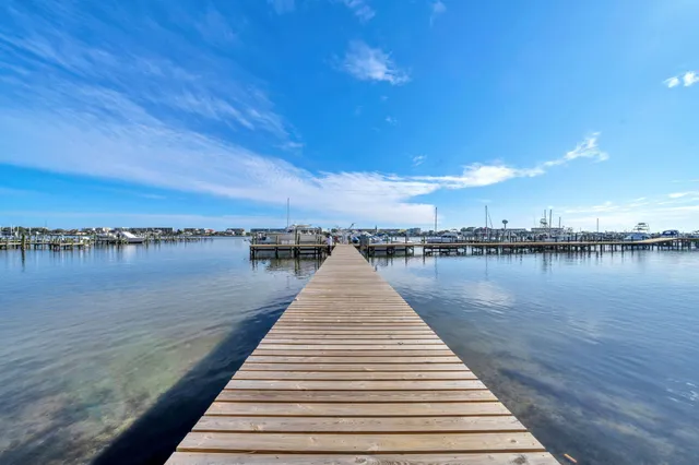 a view of a big yard with a large trees