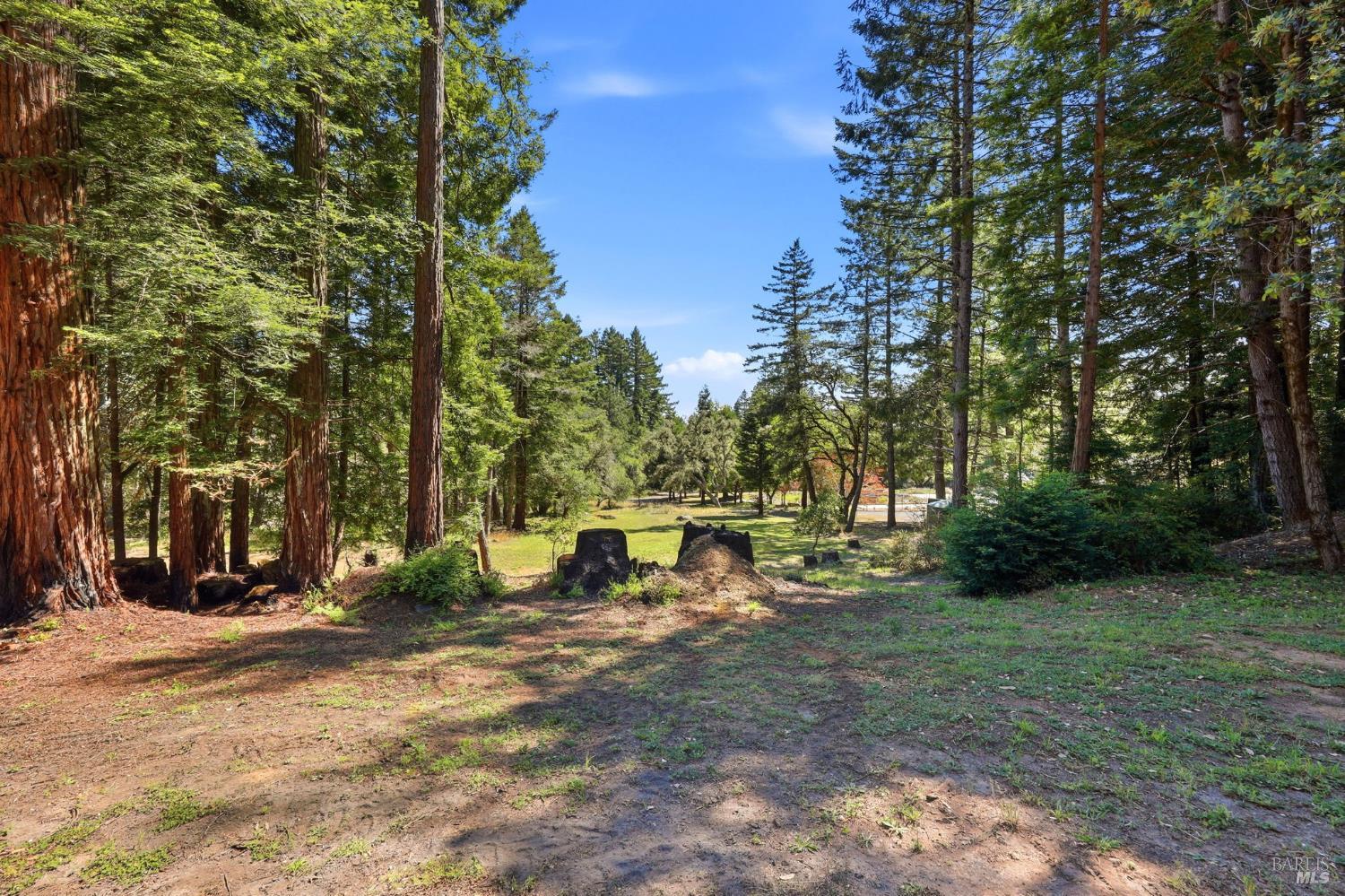 17375 Willow Creek Road Occidental, CA 95465 - Photo 79 of 94