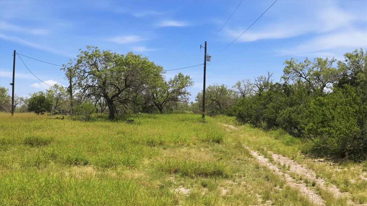 140 Choke Canyon Three Rivers, TX 78071 - Photo 3 of 17