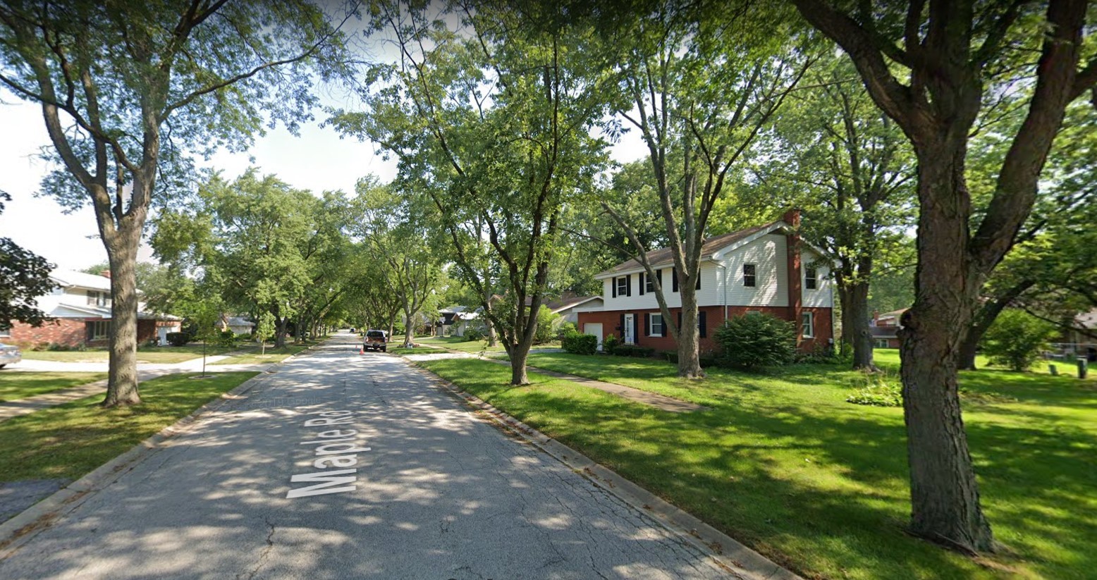939 Maple Road Flossmoor, IL 60422 - Photo 22 of 23 a view of a yard with plants and trees
