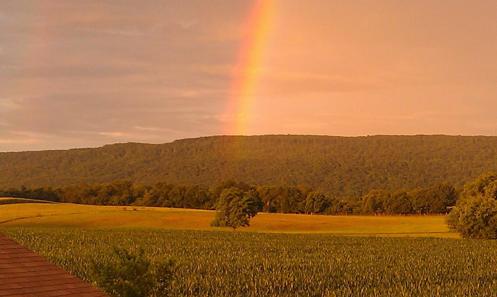 137 J D Ring Road Hillsboro, TN 37342 - Photo 49 of 49 a view of an ocean