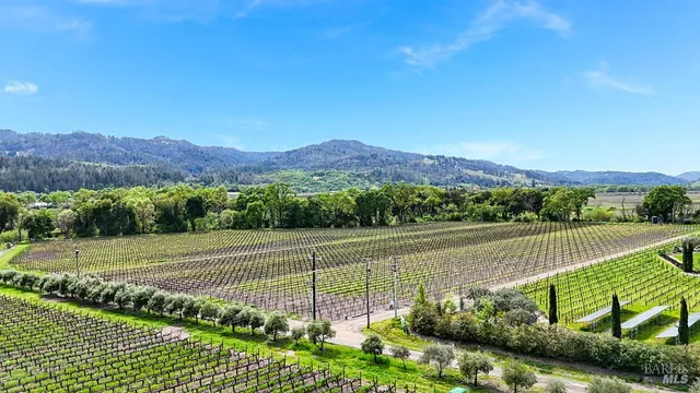 a view of a terrace with a yard