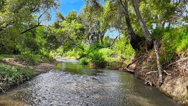 a view of a lake with large trees