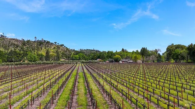 a view of an outdoor space and a lake view