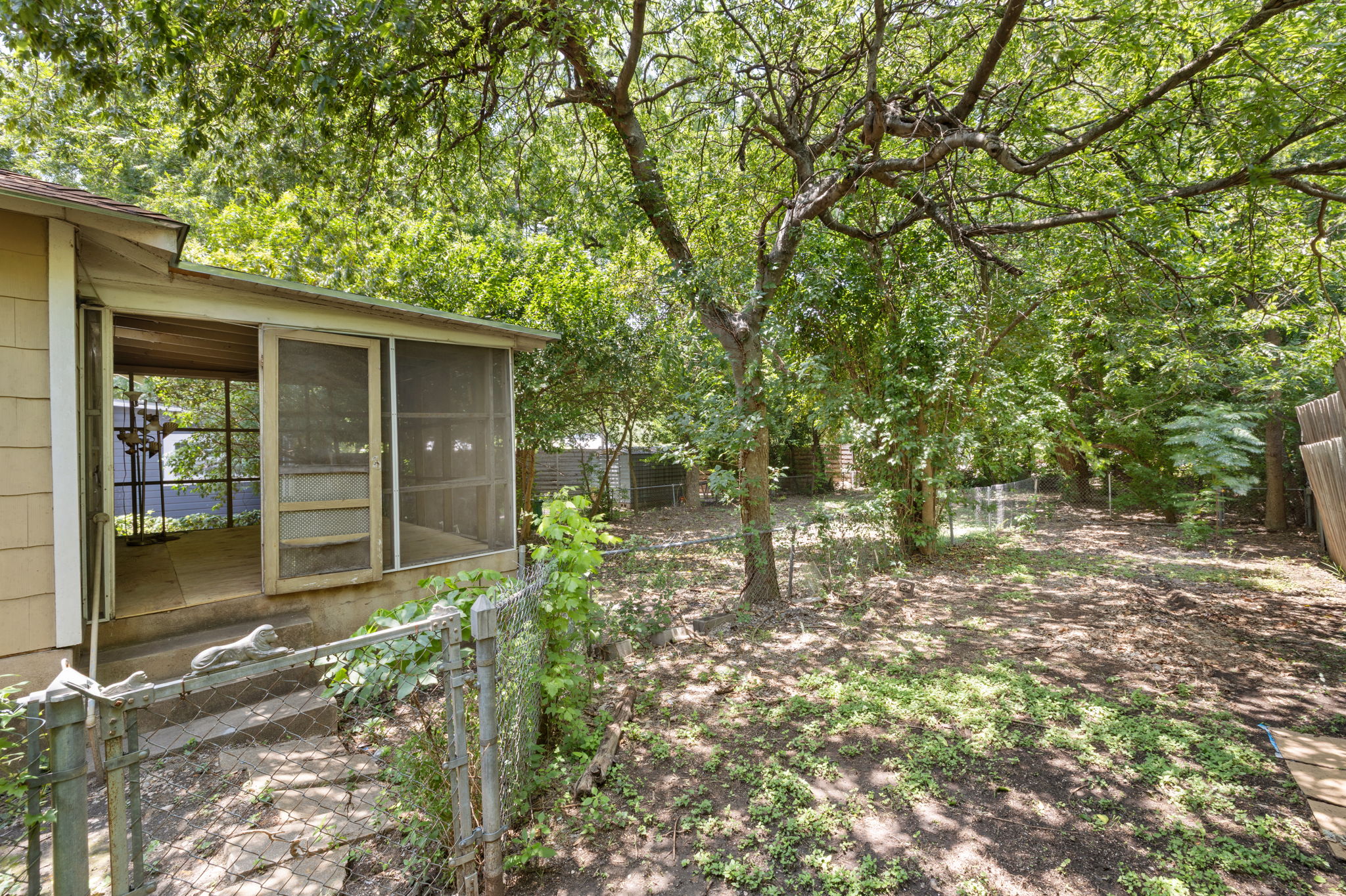 3704 Cherrywood Road Austin, TX 78722 - Photo 33 of 40 A spacious backyard with mature trees, a screened in porch, and a fenced-in area.