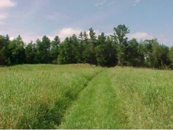 57.3 Squantum Road Jaffrey, NH 03452 - Photo 1 of 1 Gallery Image 1