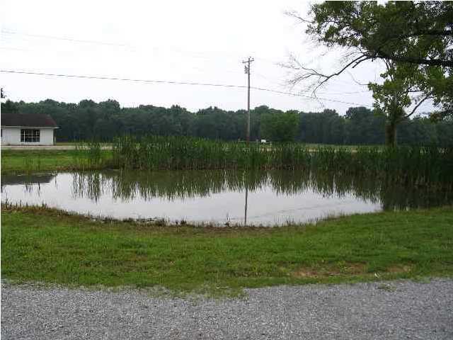 10463 Hwy 58 Decatur, TN 37322 - Photo 3 of 5 Additional Photo