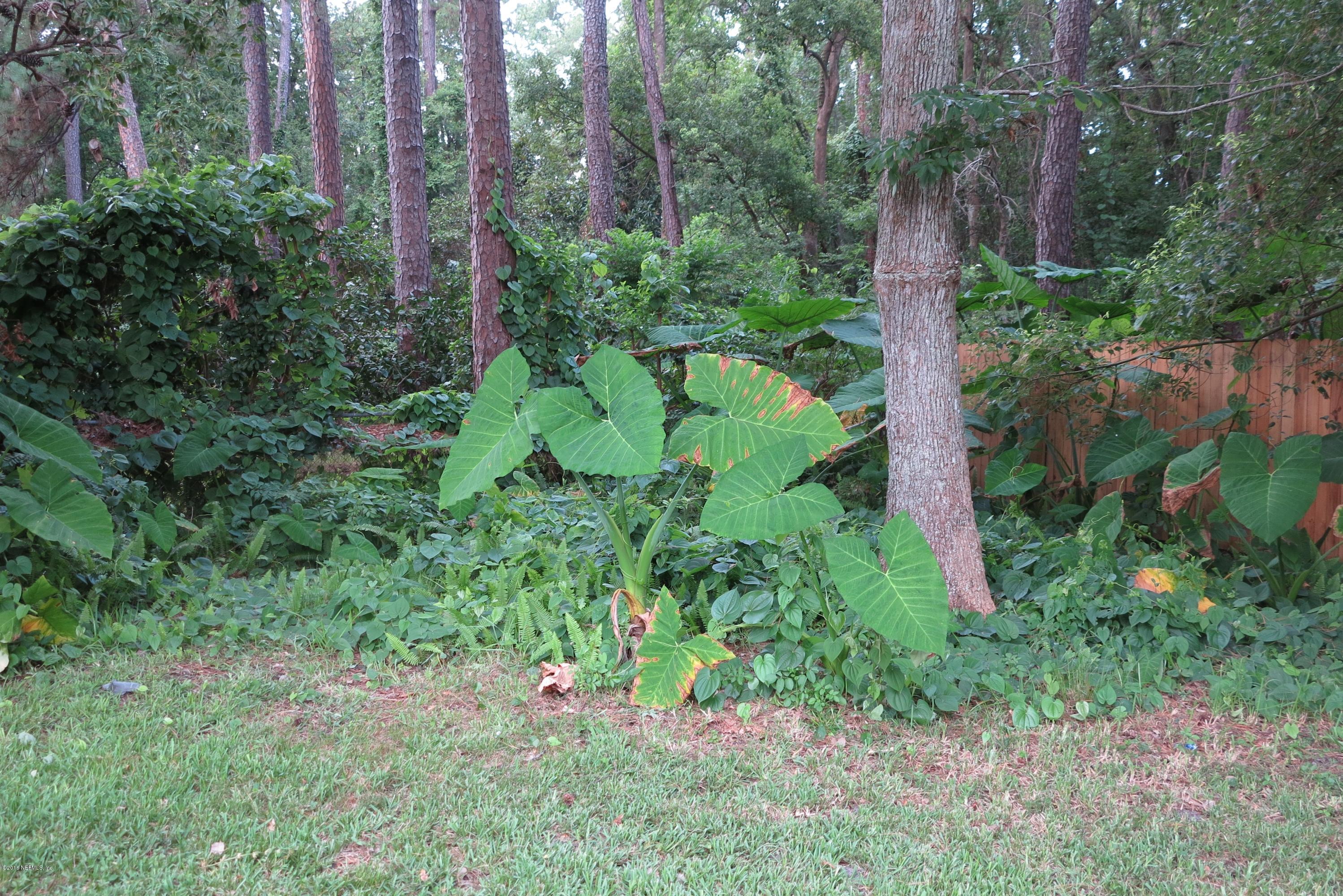 2525 Patsy Anne Drive Jacksonville, FL 32207 - Photo 47 of 48 IMG_4374